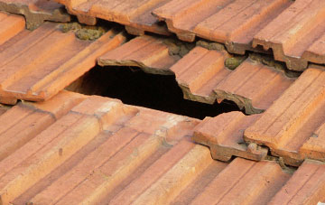 roof repair Great Weeke, Devon